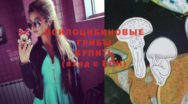 бошки Нефтегорск