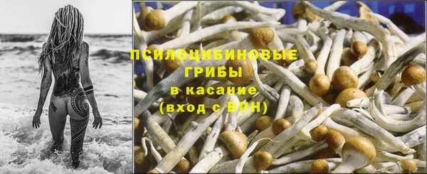 эйфоретик Нея