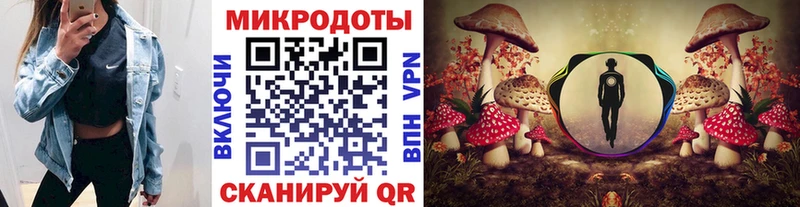 Псилоцибиновые грибы мицелий Рассказово