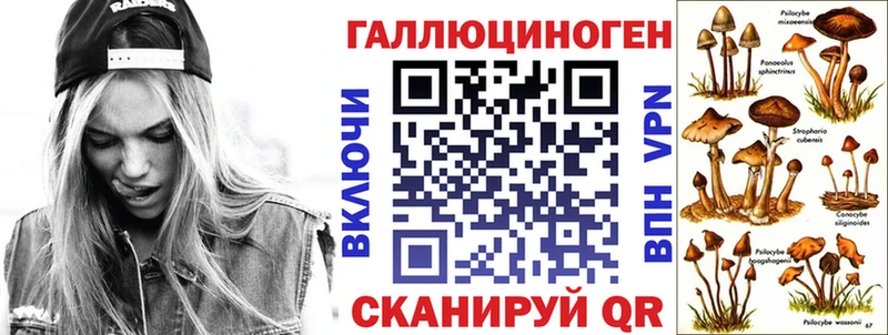 Псилоцибиновые грибы Cubensis  ссылка на мегу   Рассказово  наркотики 